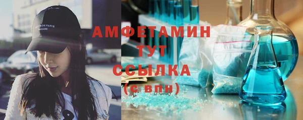 твердый Мегион