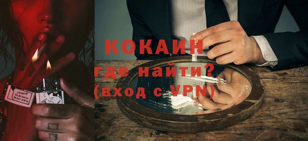 твердый Мегион