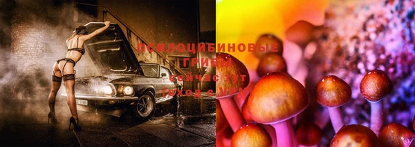 твердый Мегион
