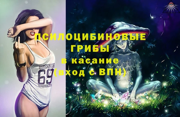 гашик Медвежьегорск