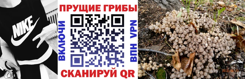 Псилоцибиновые грибы ЛСД  Хвалынск 